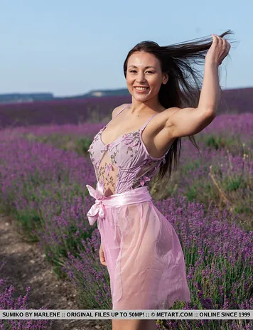 Lavender Fields